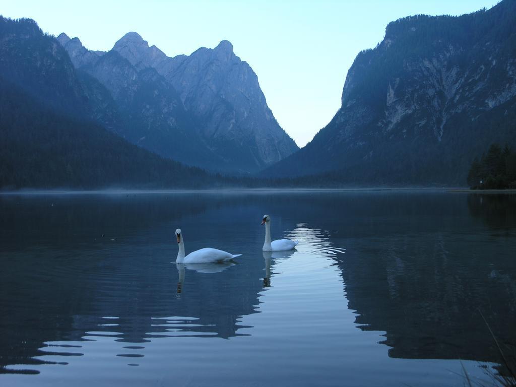 Hotel Schopfenhof San Candido Ngoại thất bức ảnh